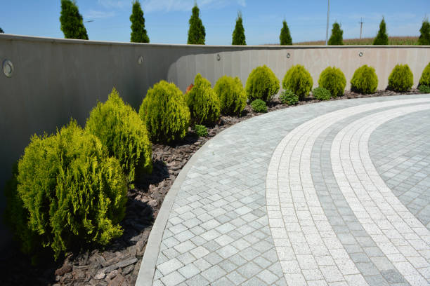 Professional Driveway Pavers in San Diego Country Estates, CA